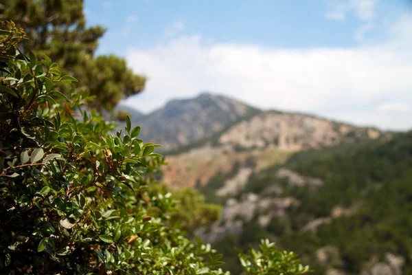 Höga berg och klippor i greece rhodes — Stockfoto
