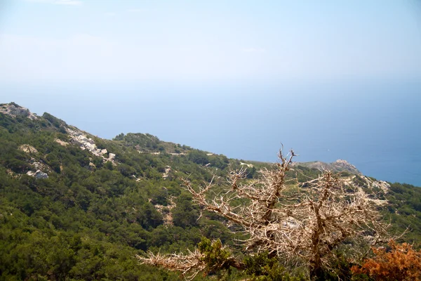 Yüksek dağ ve kayalar Yunanistan Rodos — Stok fotoğraf