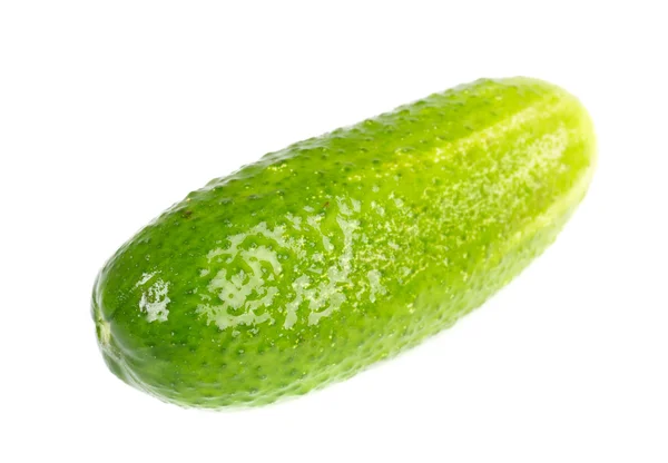 Cucumber isolated on white background. — Stock Photo, Image