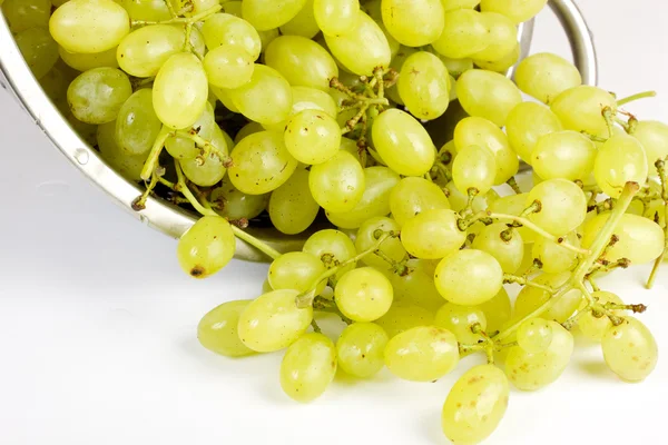 Kiść winogron — Zdjęcie stockowe