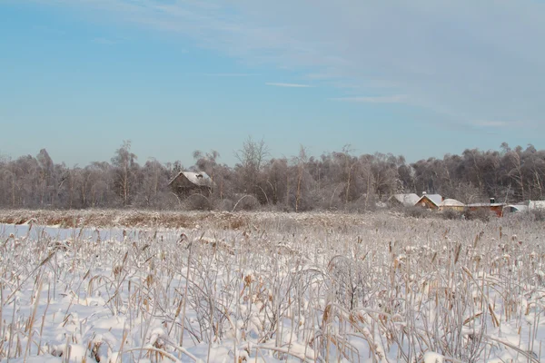 Winter on lake — Stock Photo, Image