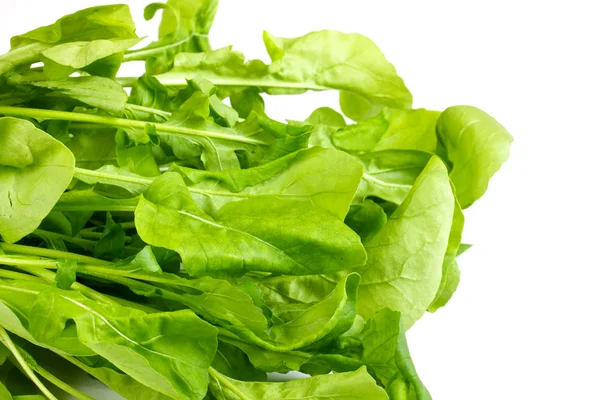 stock image Ruccola salad fresh heap leaf