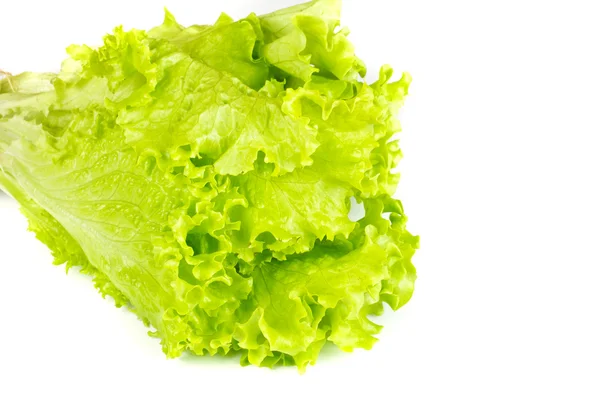 Blatt frischer Salat isoliert — Stockfoto