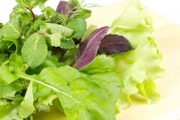 stock image Salad leaves isolated