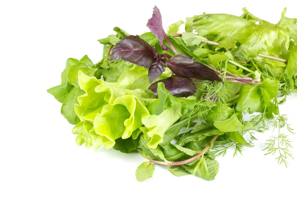 izole salata yaprakları