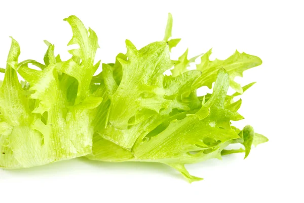 Folha salada fresca isolada — Fotografia de Stock