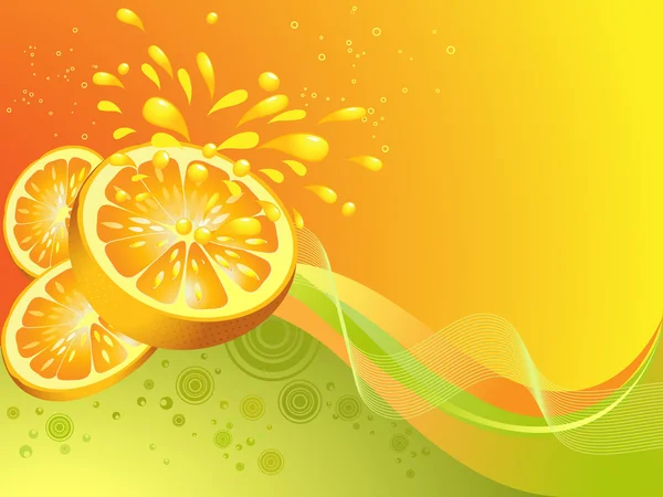 오렌지 감귤 류의 과일입니다. 벡터 일러스트 레이 션 — 스톡 벡터