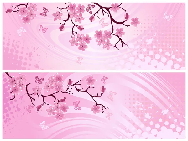 Cherry blossom, banner. vektor illustration — Stock vektor