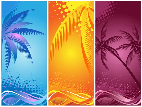 Tropical palm, background summer — Stock Vector