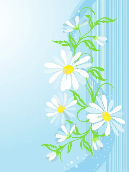 カモミールとベクターの花の背景 — ストックベクタ