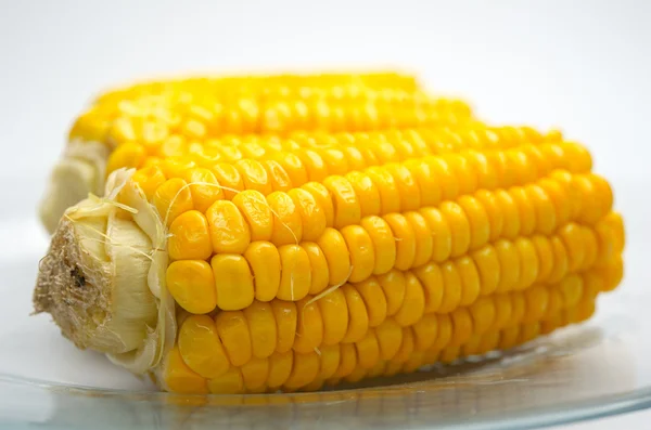 Corn Cobs on a glass plate closeup. Small DOF — Stock Photo, Image
