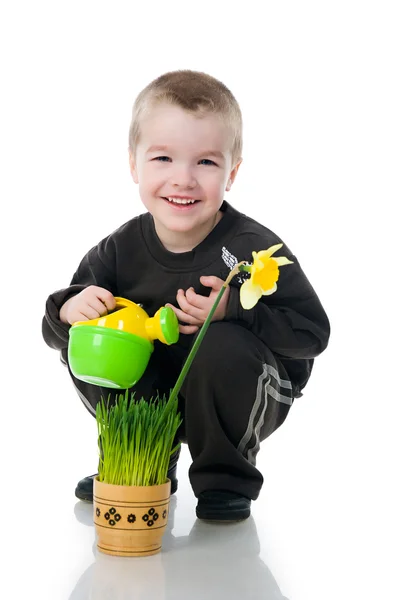Милий маленький хлопчик поливає квітку — стокове фото