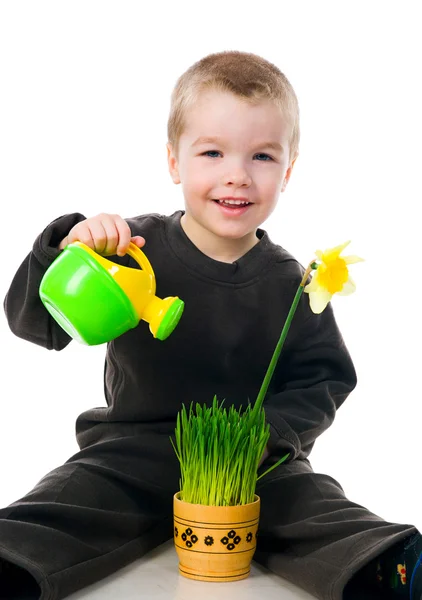 Милый мальчик поливает цветок. — стоковое фото