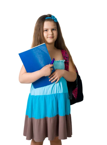 Симпатичный школьник с ноутбуками — стоковое фото