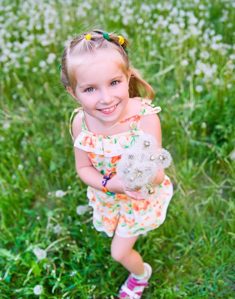 Мила маленька дівчинка на лузі — стокове фото