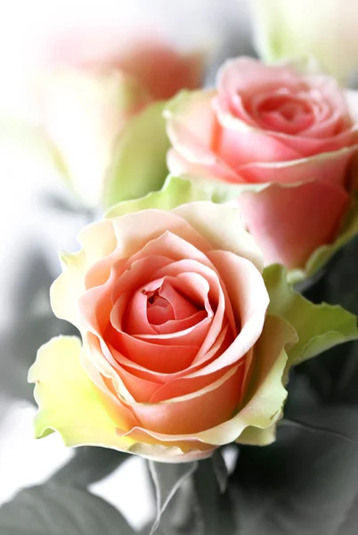 Ramo de rosas — Foto de Stock