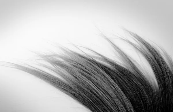 Черные волосы — стоковое фото
