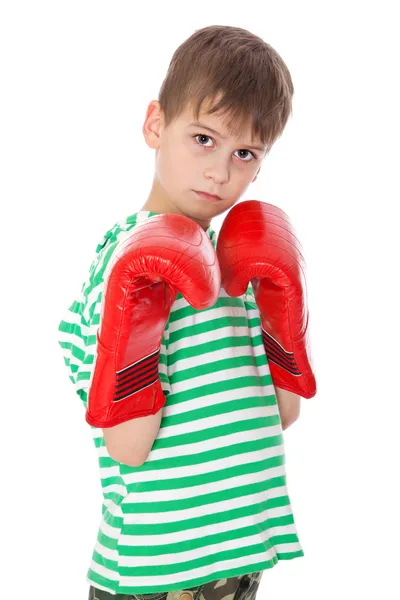 Kızgın çocuk boksör — Stok fotoğraf