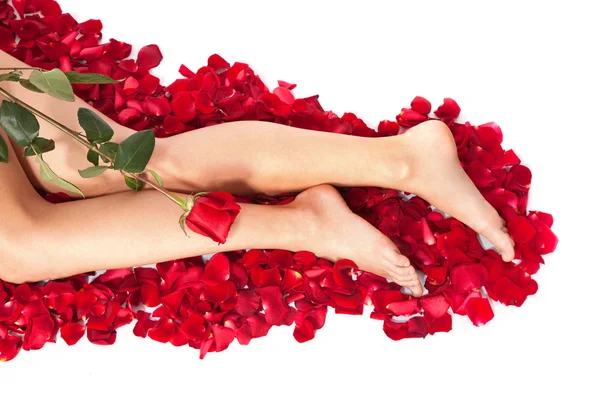 Kvinna mot kronblad röda rosor — Stockfoto