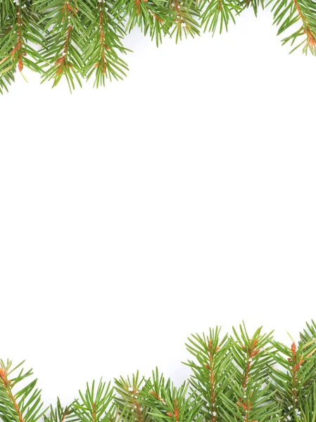 圣诞框架与雪 — 图库照片