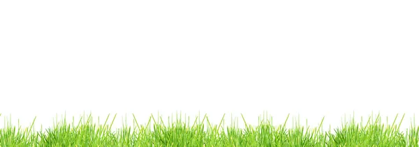 Geïsoleerde groen gras — Stockfoto