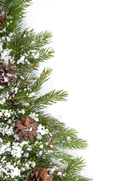 Cornice natalizia con neve e coni — Foto Stock