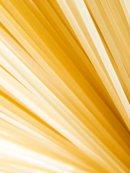 Pasta closeup background. — Stock Photo, Image