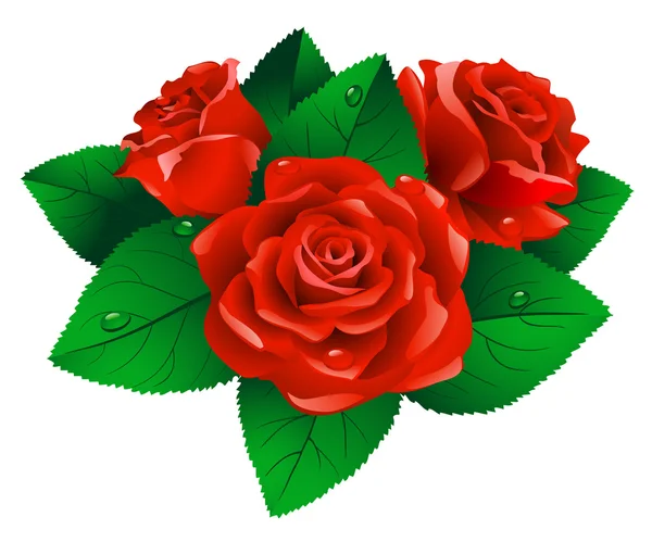 Roses. — Image vectorielle