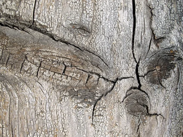 Wooden texture. — Stock Photo, Image