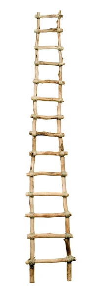 Ladder. — Stockfoto