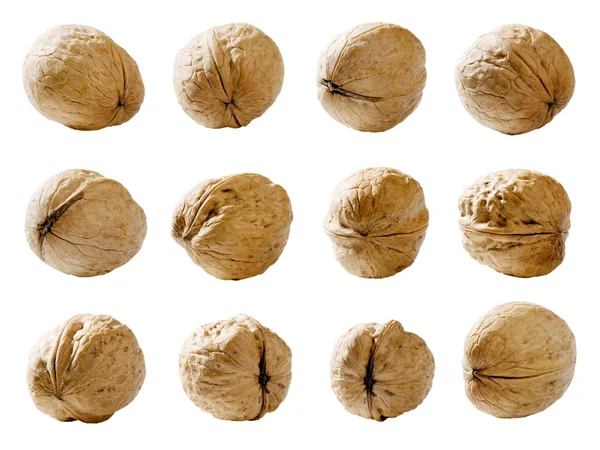 Ořechy. — Stock fotografie