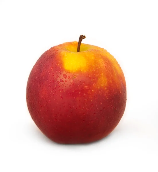 stock image Red yellow apple