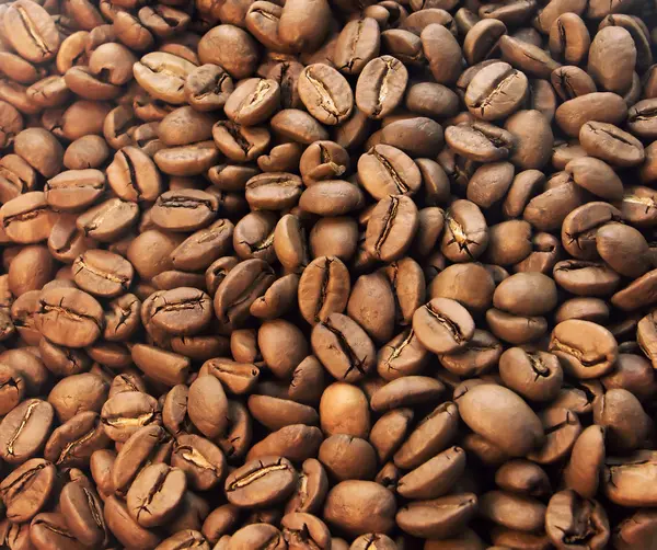 stock image Coffee beans closeup