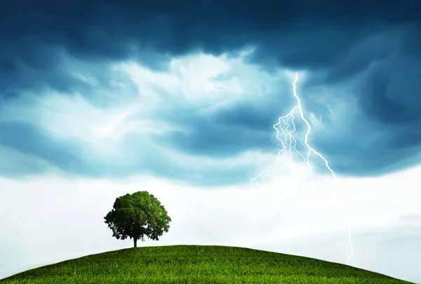 Tempestade e árvore — Fotografia de Stock