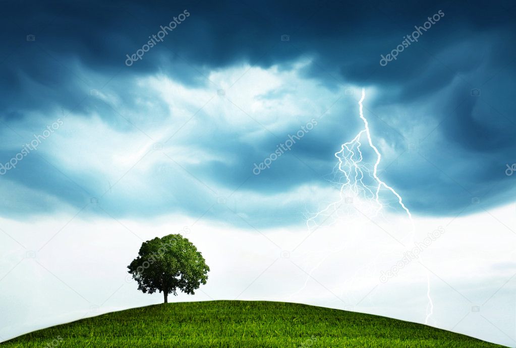 Storm and tree