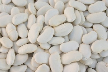 White beans clipart