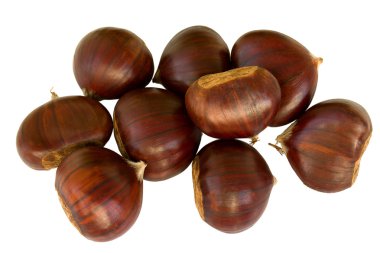 Chestnut, chinquapin clipart