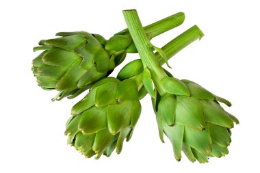 Artichokes clipart