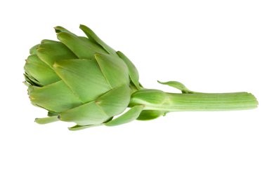 Artichoke clipart