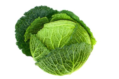 Cabbage clipart