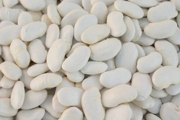 Weiße Bohnen — Stockfoto