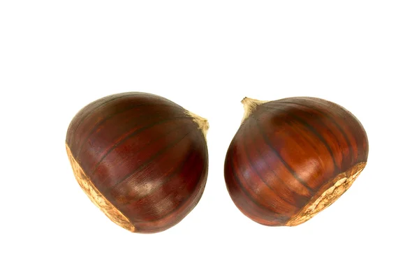 Chestnuts, chinquapins — Stock Photo, Image