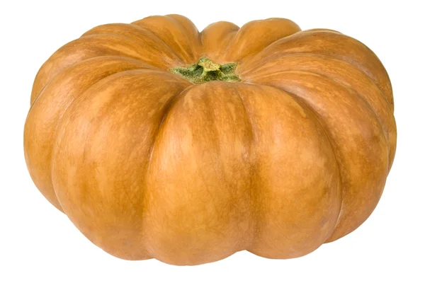 Pumpkin, gourd — Stock Photo, Image