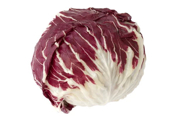 Lettuce rantisio — Stock Photo, Image