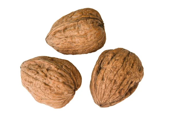 Черкесские орехи — стоковое фото