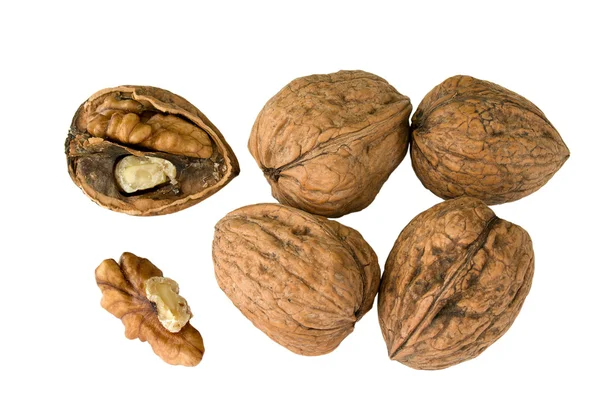 Kavkazská vlašské ořechy — Stock fotografie