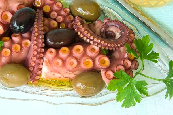Oktopus, appetizer — Stock Photo, Image