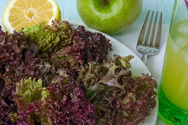 Salata marul — Stok fotoğraf