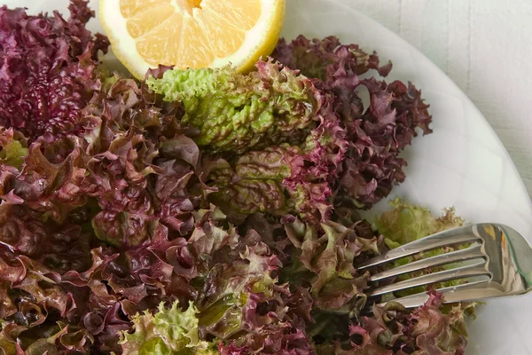 Salada roxa — Fotografia de Stock