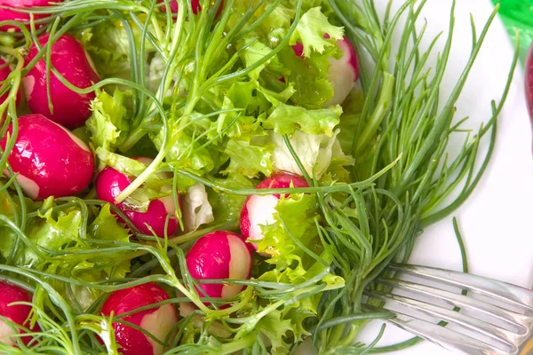 Salat mit Radieschen — Stockfoto
